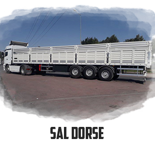 Sal Dorse